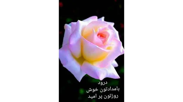 فال روزانه شخصی/ 12 مرداد ماه + فیلم