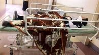  حمله وحشیانه به فوتسالیست زن در قم پس از پایان مسابقه ! +عکس