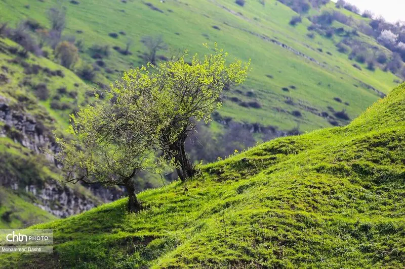 شهرستان گرمی اردبیل (4)