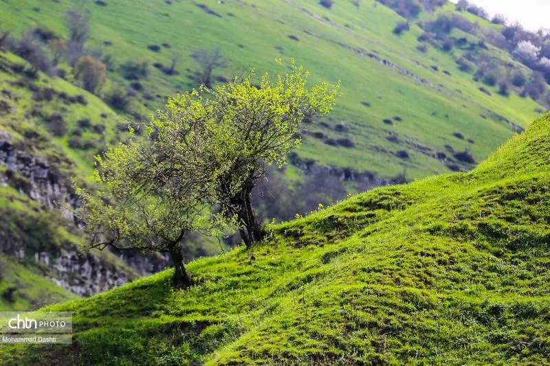 شهرستان گرمی اردبیل (4)