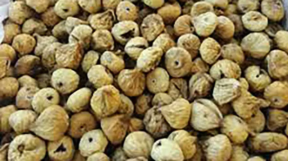 انجیر خشک بهترین درمان زخم معده