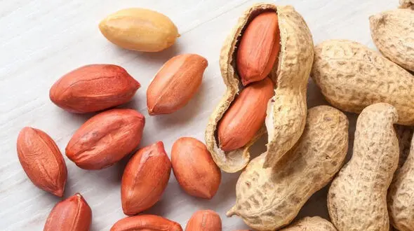 بادام زمینی چاق می کند یا لاغر؟