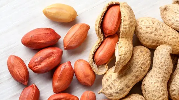 بادام زمینی چاق می کند یا لاغر؟