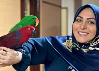 واکنش جالب المیرا شریفی مقدم، مجری تلویزیون به سگ های زنده یاب در آنتن زنده+ فیلم