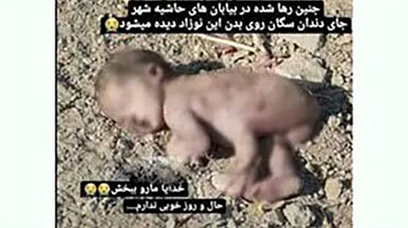 جزئیات پرونده بچه زن کارتن خواب در اصفهان / هویت نوزاد بی جان و مادرش نامعلوم 