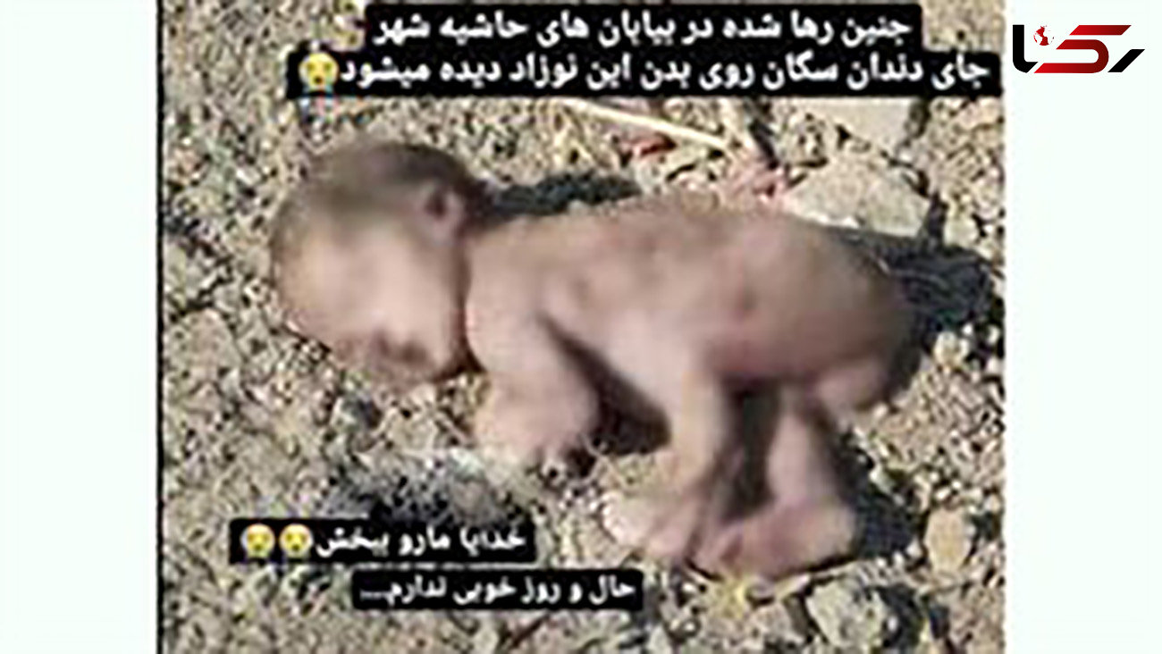 جزئیات پرونده بچه زن کارتن خواب در اصفهان / هویت نوزاد بی جان و مادرش نامعلوم 