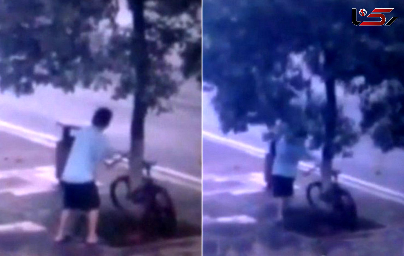 فیلم عجیب از قطع درخت در کنار خیابان برای دزدیدن دوچرخه