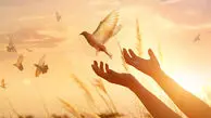 بازگشت محکوم به قصاص به زندگی با گذشت اولیای دم در قزوین