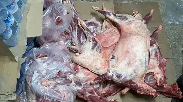 پلمب تالار باغ پذیرایی در کرمان + عکس