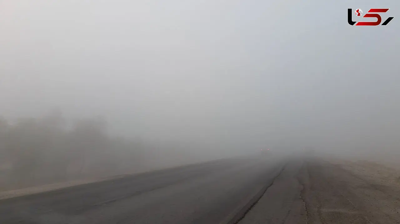 فیلم مه غلیظ صبحگاهی در جاده برازجان - بوشهر / هشدار به رانندگان