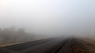 فیلم مه غلیظ صبحگاهی در جاده برازجان - بوشهر / هشدار به رانندگان