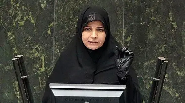 وزیر اقتصاد باید مسئولیت تنش‌ های ارزی را بپذیرد