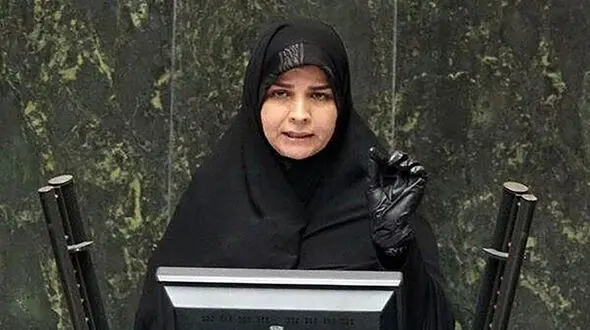 وزیر اقتصاد باید مسئولیت تنش‌ های ارزی را بپذیرد