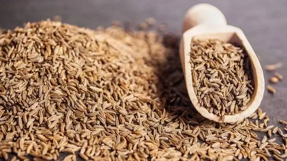 یک کالری سوز حرفه ای را بشناسید!