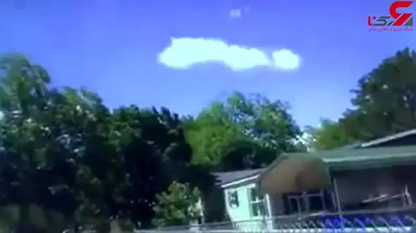 لحظه شلیک مامور پلیس به 3 سگ وحشی  + فیلم