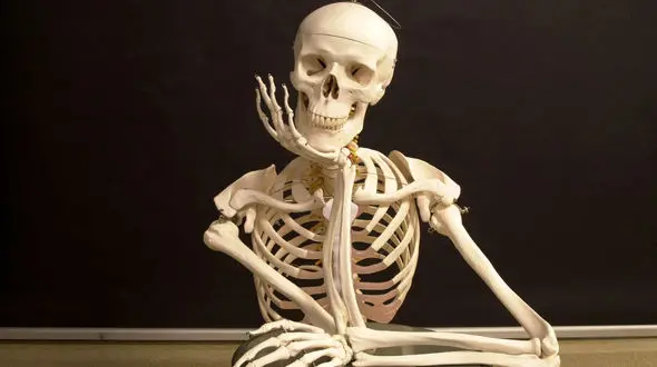 استخوان های تان را با خوردن این مواد غذایی بشکنید!