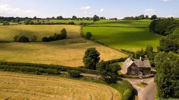 کشف گنجینه سکه‌های 500 ساله توسط معاون مدرسه + عکس