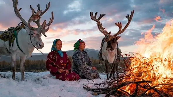 زندگی شگفت انگیز زنان مغول با گوزن های شمالی+تصاویر
