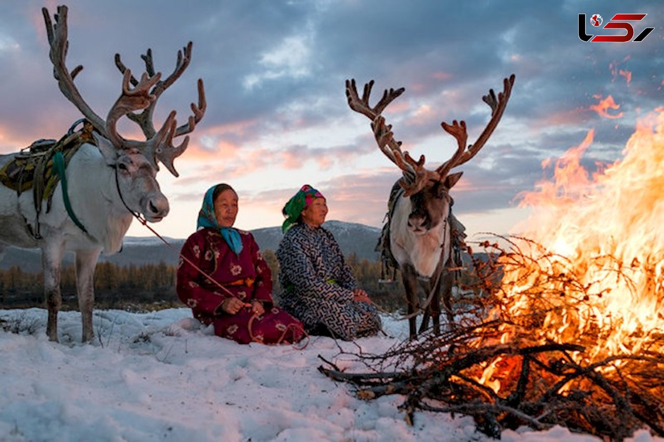 زندگی شگفت انگیز زنان مغول با گوزن های شمالی+تصاویر