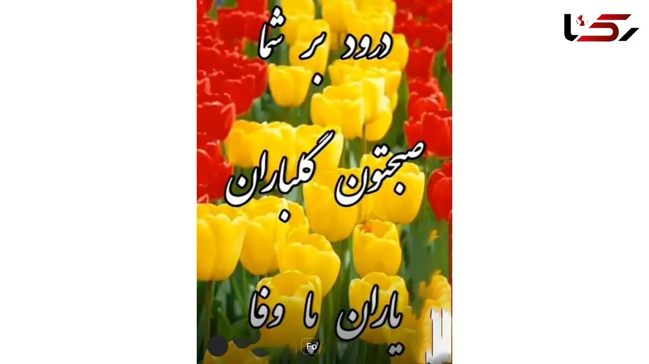 فال ابجد امروز / 20 آذر + فیلم