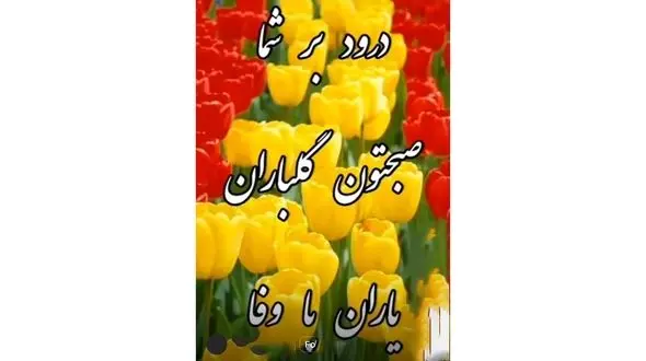 فال ابجد امروز / 20 آذر + فیلم