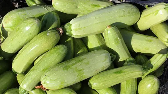 یک خوردنی کم‌کالری برای کاهش نفخ