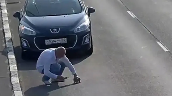 فیلم نجات جان بچه گربه که در وسط اتوبان بود + عکس