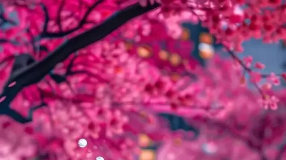 فال و طالع بینی روزانه 27 آذر + فیلم 