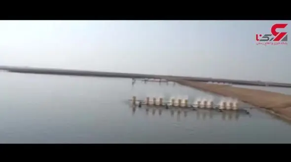 قتل‌عام میگوها در بوشهر+ فیلم