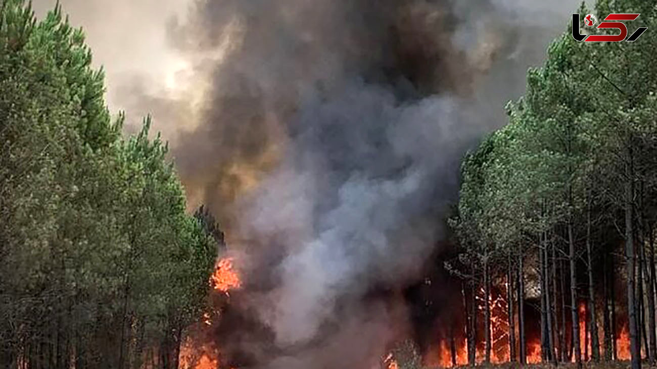 وحشت مسافران قطار در آتش سوزی جنگل های اسپانیا / 20 مسافر قطار سوختند