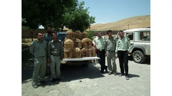 دستگیری چهار شکارچی متخلف در بوکان+عکس