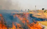 آتش سوزی هورالعظیم در قسمت ایران منشاء داخلی داشت/500 هکتار نیزار در آتش سوخت/از اول امسال 54 مرتبه جنگل ها و مراتع ایران سوختند