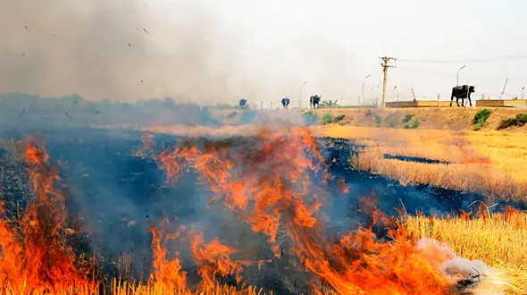 3 نقطه از بخش عراقی هورالعظیم در حال سوختن است / دود در مسیر اهواز