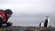 بازیگر مشهور زندگی با پنگوئن‎ها را انتخاب کرد +عکس 