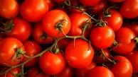 چرا قیمت گوجه در بازار افزایشی شد؟