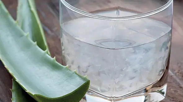 بهترین آبرسان های خوراکی 