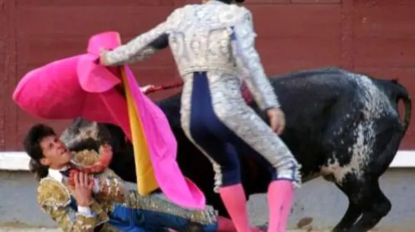 حمله گاو در نمایش سنتی باعث زخمی شدن 500 نفر شد / 5 تن کشته شدند