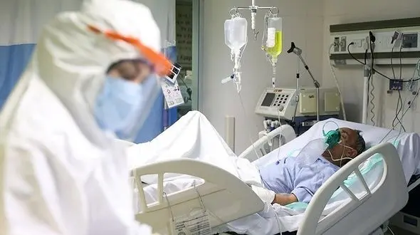 ۴ داروی گیاهی که به بهبود کرونا کمک می کند 