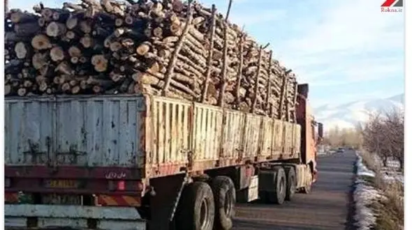 قاچاقچی منابع طبیعی در دام یگان تکاوری قم !