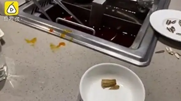 صحنه وحشتناکی که مشتری را در رستوران شوکه کرد +عکس