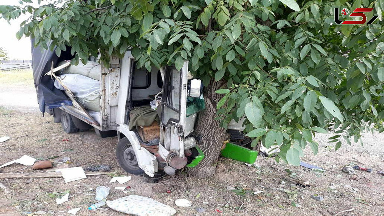 برخورد کامیون با درخت در قزوین یک مصدوم برجای گذاشت