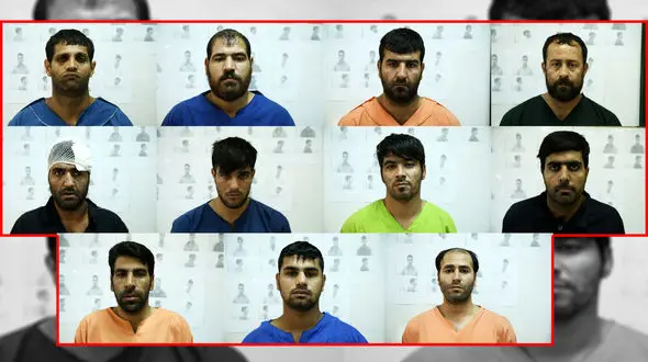 افزایش شکارهای  11 کرکس پایتخت! / آنها را می شناسید شکایت کنید + عکس  و فیلم بدون پوشش