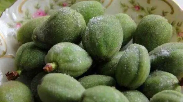 تاریخچه و طرز تهیه کوکو چغاله بادام؛ غذای سنتی و مقوی