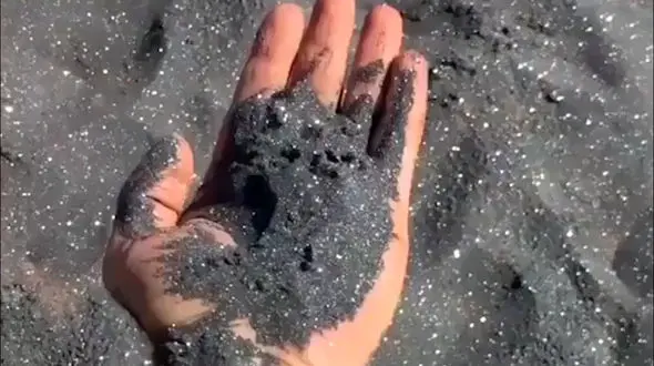 شن و ماسه این ساحل برق می زند / فیلم