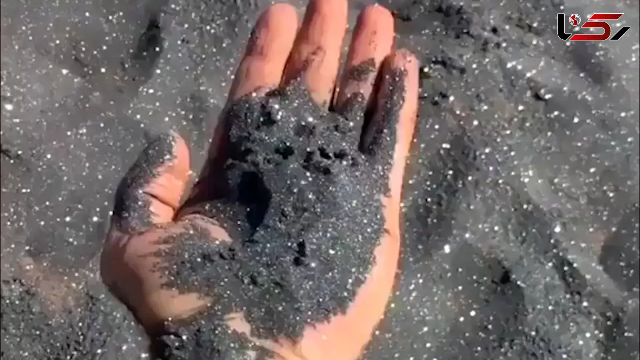 شن و ماسه این ساحل برق می زند / فیلم