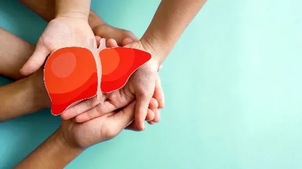 چگونه کبد و کلیه‌های خود را سم‌زدایی کنیم؟ / راهکارهای علمی و موثر