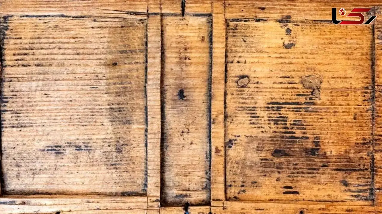 ماجرای جذاب کشف اشیای سالم کودکان رومی پس از 2 هزار سال!