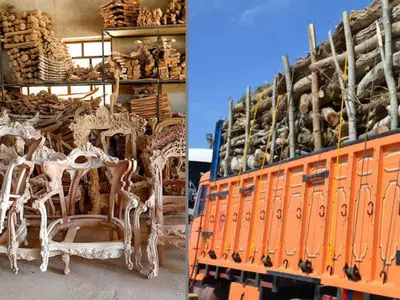 بحران خاموش در صنعت مبلمان / زنگ خطر برای جنگل‌ های ایران!