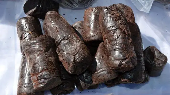 درختی با یک کیلو تریاک در اصفهان