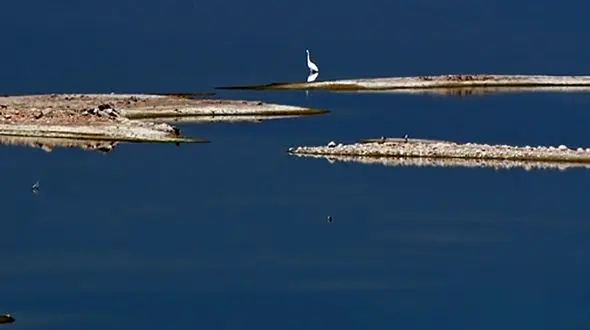 ردپای فاضلاب و پساب کشاورزی در تالاب هوراعظیم + فیلم و عکس